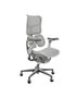 Cadeira Bioliberty Cinza
