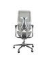 Cadeira Bioliberty Cinza